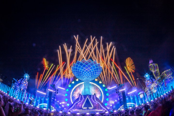 marc-van-der-aa-for-insomniac-2